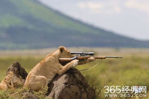 每日笑话段子：等再改回来