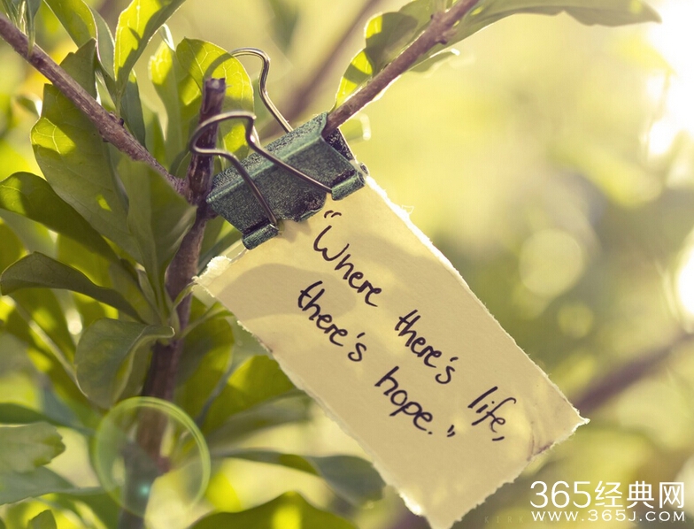 什么样的能量才能支撑一个人走过人生的低谷和迷茫