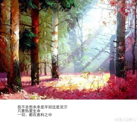 汪国真经典诗句