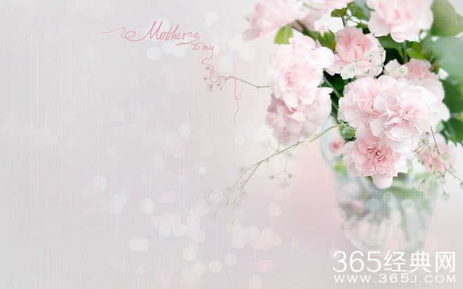 女人花，花开优雅