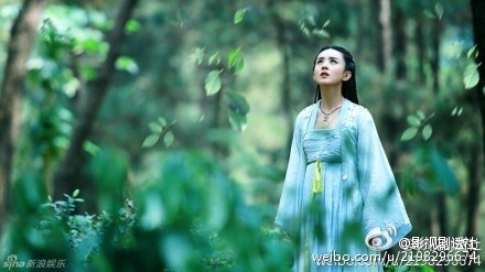 花千骨什么时候开播_在哪个台播出几点播出_365经典网