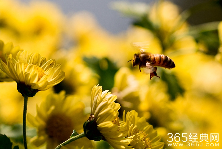 做人德为先 待人诚为先 做事勤为先