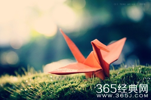 太在意的东西,总会有羁绊