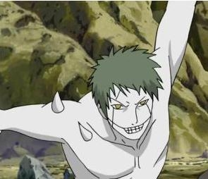 火影忍者白绝本体是什么