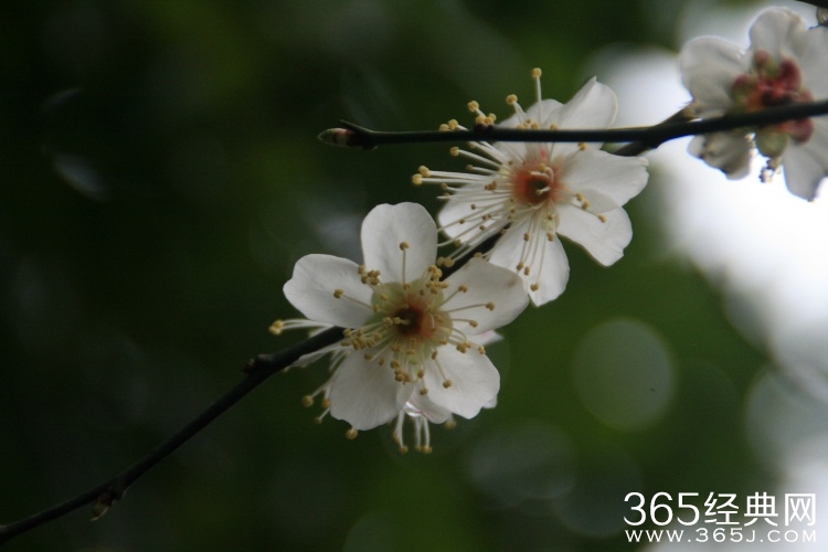 爱情，是成长的缩影