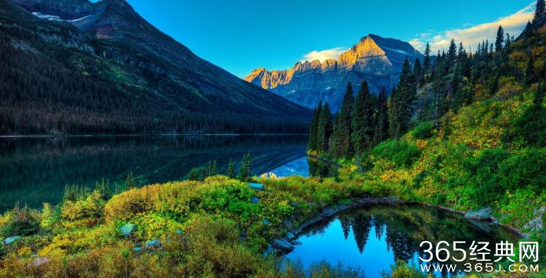 优美情感美文美句欣赏