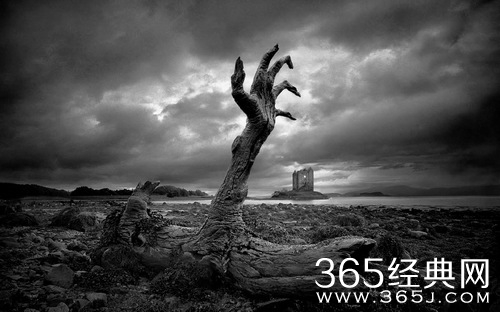 40句名言让你成为自己的人生舵手