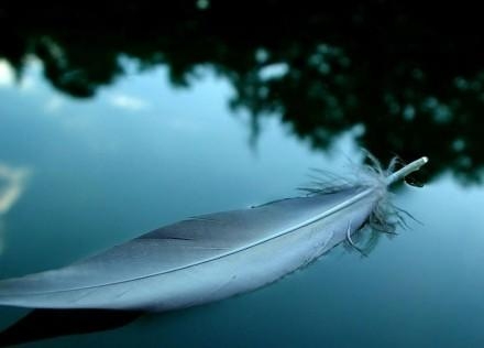 倘若才华得不到承认