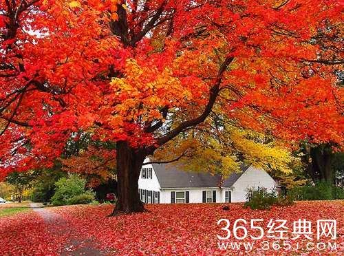 世界这么忙，柔弱给谁看