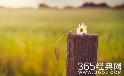 人生成熟,从忘记公平开始