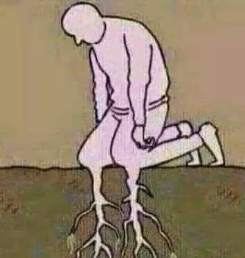 3张价值千金的图片