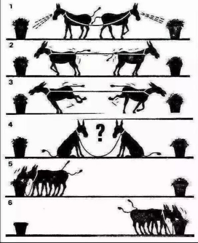 3张价值千金的图片