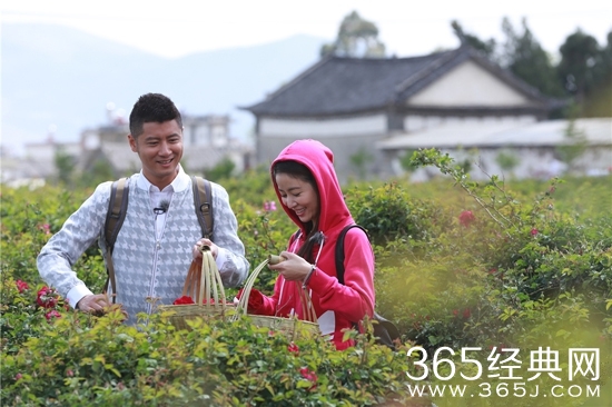 《我们相爱吧》粉丝每周求虐”围观偶像恋爱变追剧模式