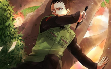 火影忍者鹿丸经典语录