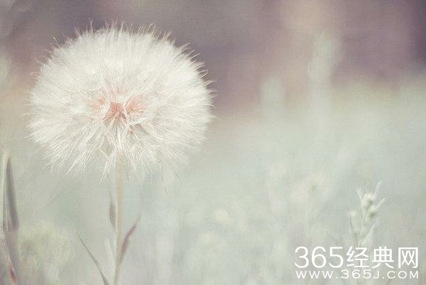 关于珍惜眼前人的名言