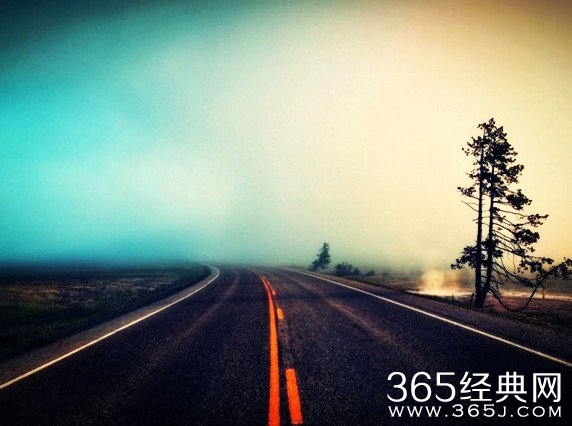 陈丹青:文凭是平庸的保障