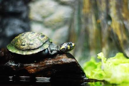 我们自欺欺人的做着自己，从不为不重要的