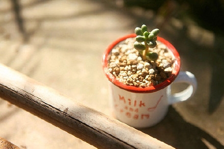 我们自欺欺人的做着自己，从不为不重要的