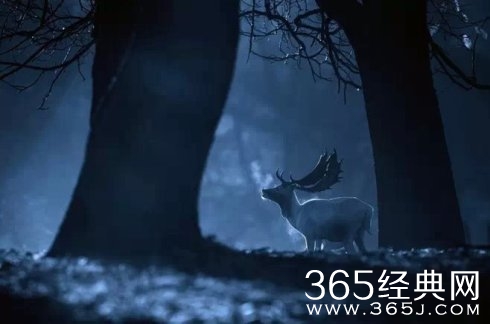 徐志森给儿子上的七次人生课程