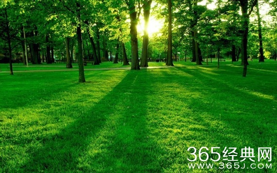 描写春天的句子