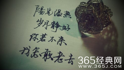 你不来,我怎敢老去