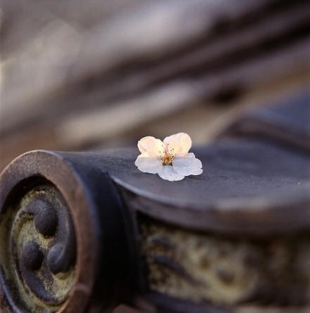 中国寺庙绝联 蕴含人生大智慧