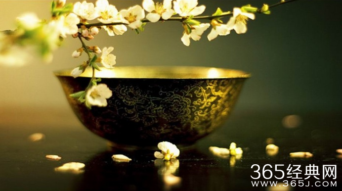 行走在人生道路上，有时需要停一停