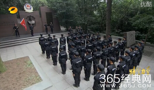 《特警力量》第17集高清视频在线观看