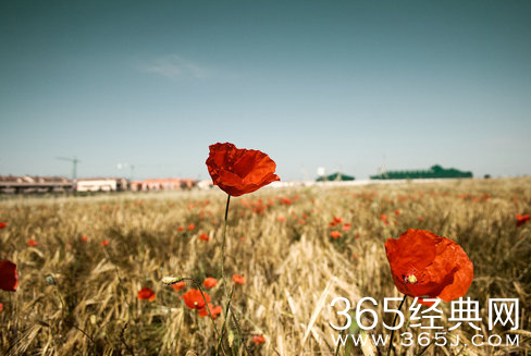 今生，只為你邀約