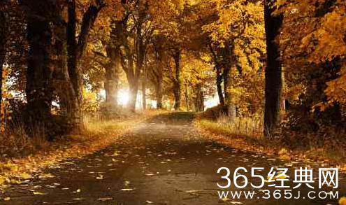 我来到了你的城里，你还好吗？