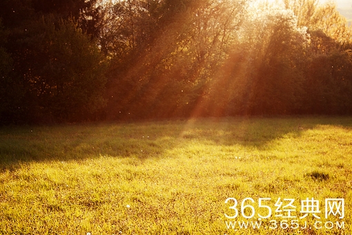 人们只会记住你成功的那一次