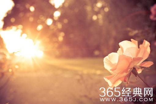 你的幸福是什么