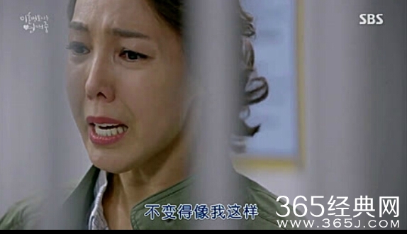 《离婚律师恋爱中》第04集中文视频在线观看