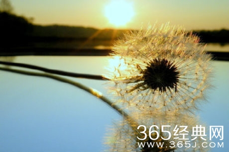 莫言：生命里，总有一朵祥云为你缭绕