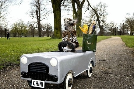 未来穷人是这样炼成的