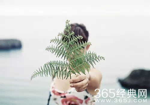 有时候不是不想说话， 而是有很多话放在心里会安全点