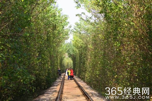 南京爱情隧道走红