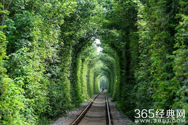 南京爱情隧道走红