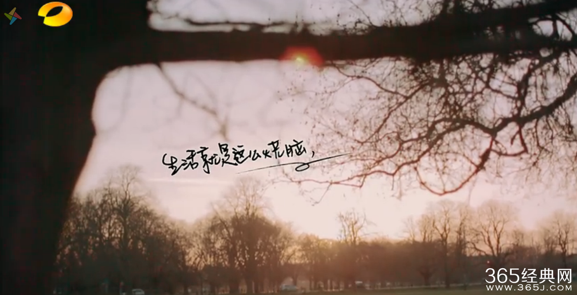 《花儿与少年2》杨洋走丢落单时英文插曲是什么歌