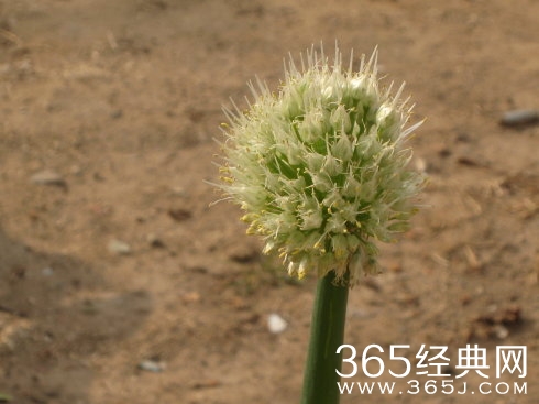 人生要善于另辟蹊径