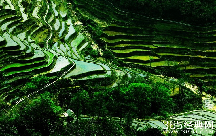 巴纳姆效应与命运