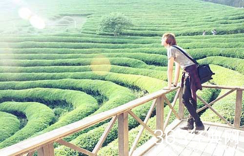 学会自己给自己的人生定目标