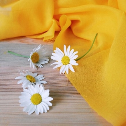 用微笑去面对生活，用真情去书写人生