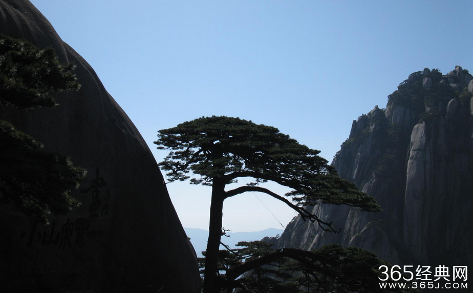 反思是成功的加速器