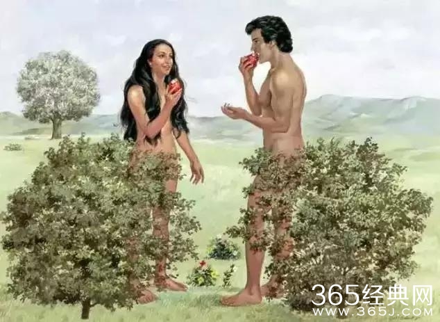 真相！为什么我们这么辛苦！