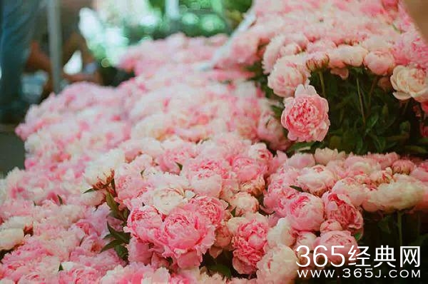 没有可不可以，只有愿不愿意