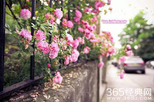 没有可不可以，只有愿不愿意