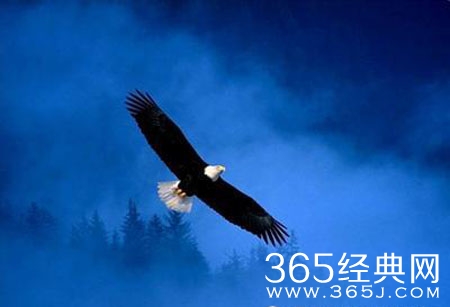 让我们拥抱苦难