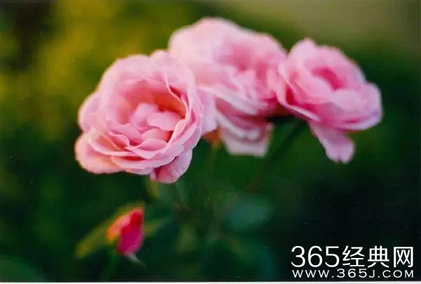 没有可不可以，只有愿不愿意