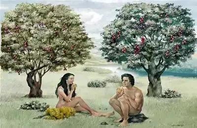 真相！为什么我们这么辛苦！